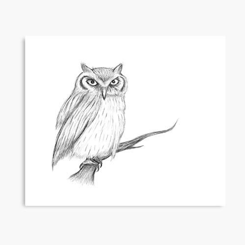 A variation of my owl sketch