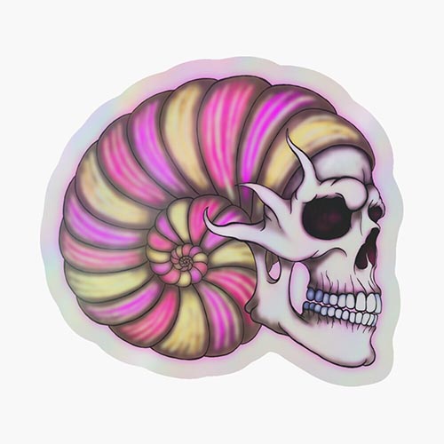 skull and a giant shell combined