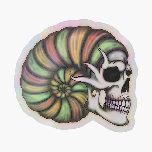 skull and a giant shell combined