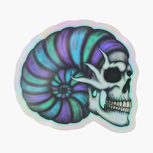 skull and a giant shell combined