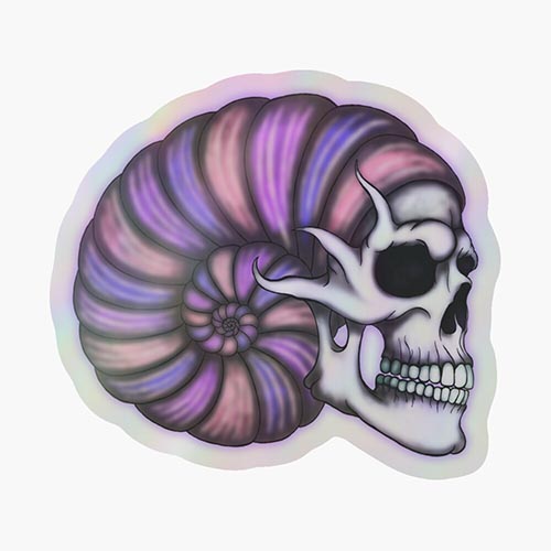 skull and a giant shell combined