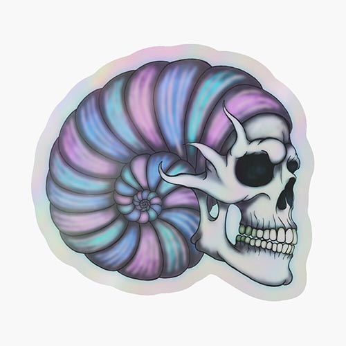 skull and a giant shell combined