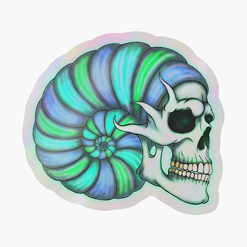 skull and a giant shell combined