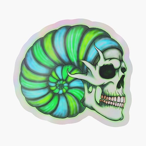 skull and a giant shell combined