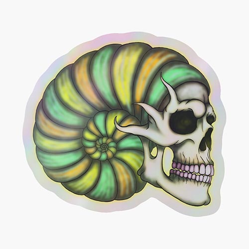 skull and a giant shell combined