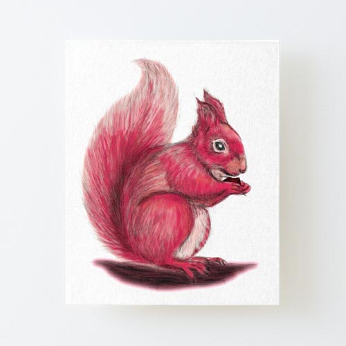variation of my squirrel drawing